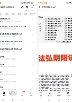 法弘 川渝青田灵鹤阴阳诀（录制视频➕法本）💰5