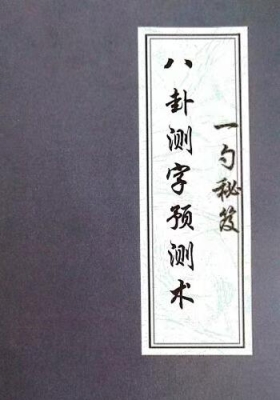 张一勺《一勺秘笈-八卦测字预测术》💰5