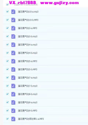 赫永刚老师的《莲花易炁功系列》六册和十七节音频💰5