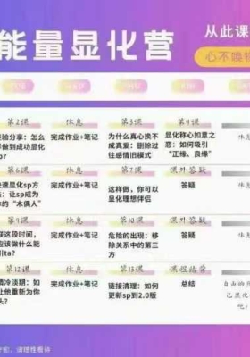 一栽 爱情能量显化营17集视频课💰5