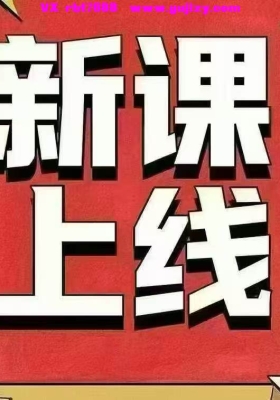 中域新课 魏大林魏氏水粒线下课视频8集💰5