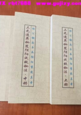 《杨公三元造葬秘笈阴阳成败秘法》💰88