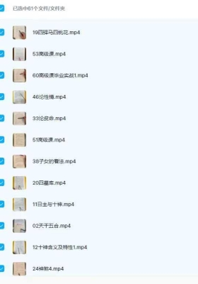 林墨竹老师的竹林讲易八字课程61集视频课💰5