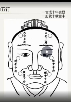 赵壹一【高级面相识人术课程】35集视频 ￥5