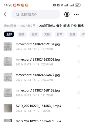 20道门秘法催财旺运镇宅破千邪延寿秘法视频+文字