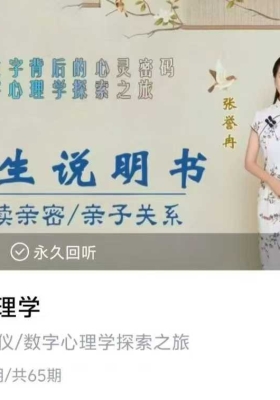 张誉冉数字心理学 51集视频课💰5