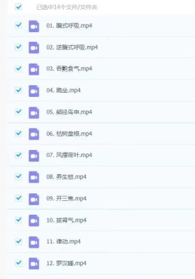 慈海卢国东古法道医养生功法训练营14集视频课 ￥5