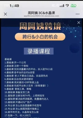 跨境电商周阿姨跨境3C&水晶课49节视频课 💰5