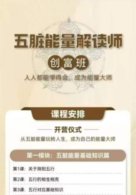 【五行能量】马艺甄五行能量解读师实操班视频课💰5