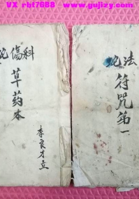 《蛇伤科草药本与蛇法符咒》二本合集💰5