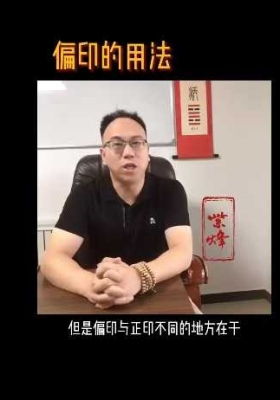 紫烽老师盲派核心视频41集💰5