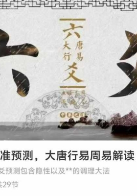 大唐行易周易解读 六爻精准预测  29 集视频课￥5