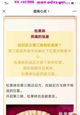【松果体】图南心灵 瑞.强德兰 | 松果体高阶教导与开启工作坊 视频课程 💰5