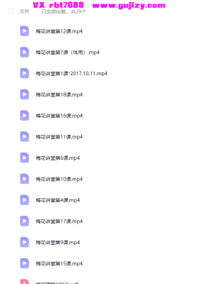 黄石易2017年第一期梅花（27视频+2讲义）💰5