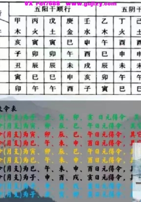 愈老师《四柱八字弟子班》教学视频17集，每个视频时长1.5小时左右💰8
