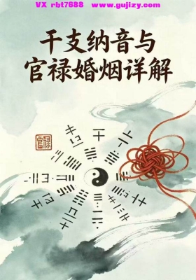 《干支纳音与官禄婚姻全解》💰5