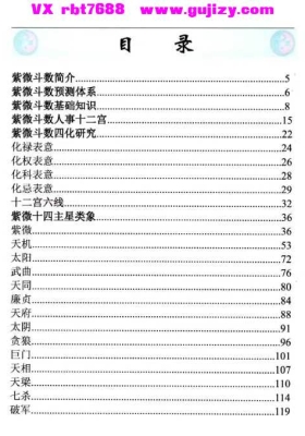 易海游龙《紫微斗数笔记》💰5