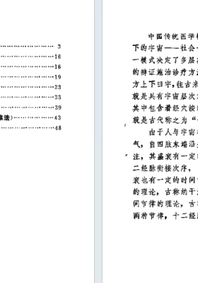 《子午流注掐指推算法》王永福💰5