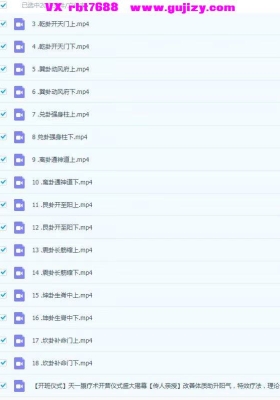 武当清微秘传九宫八卦指针 20集高清视频真人实操教学💰5