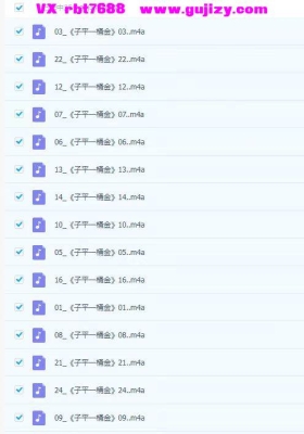 苍燃子平一桶金 音频课 25集💰5