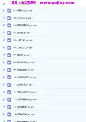 王越--问衍针法视频课程47集视频课💰5