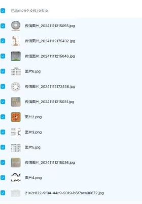 佛诚《杨公风水内训课音频+文档资料》💰5