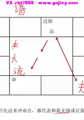 乾元《紫微斗数》教学视频48集，每个视频时长约50分钟💰5