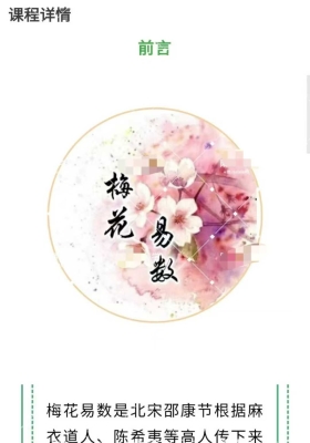 法恒道人梅花易数基础课6集 音频课￥5