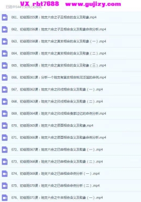 吕泽林易学 吕老师《八字实战初级班》544集💰10