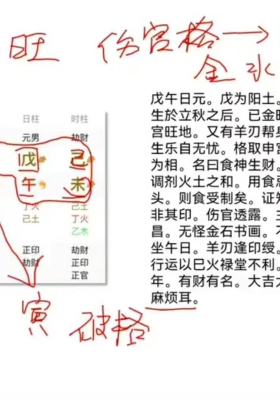 麒麟老师《八字高级班_论命体系篇》教学视频30集+电子书💰5