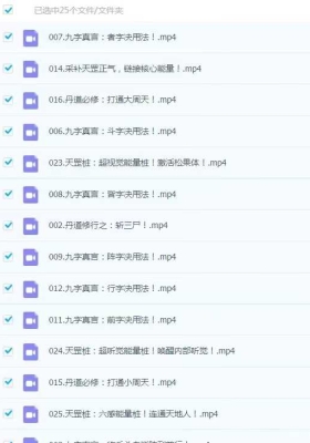 霍飞龙 打通周天：升阳天罡功25集视频 每日必练💰5