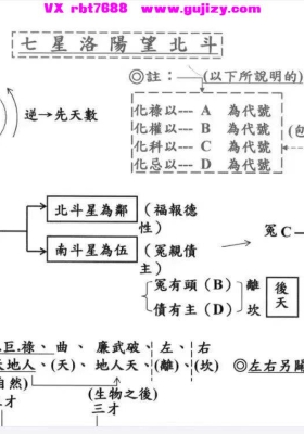 《紫薇斗数》戊己门上下册合集 内部课件💰5