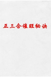 正三合催旺秘诀秘籍绝无雷同 ￥8