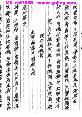 茅山迷魂现真容秘法.pdf 仅法本💰5