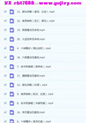 卯丁盲派基础精讲课  20集 💰5