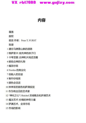 萨满文化系列 深度探索 萨满的镜子 322页 电子版💰5