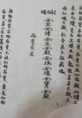 茅山藏魂牵米驾殿一宗 视频+课件💰5