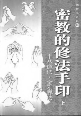 《密教的修法手印》 上下册💰5