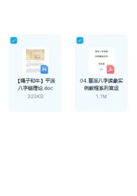 八字命理书籍《民间陈老师盲派八字读象教程 盲派》💰5