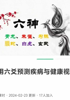怎样用六爻预测疾病与健康6集视频课💰5