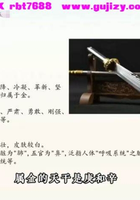 知易而行信笛老师八字传承课10集初级视频课💰5