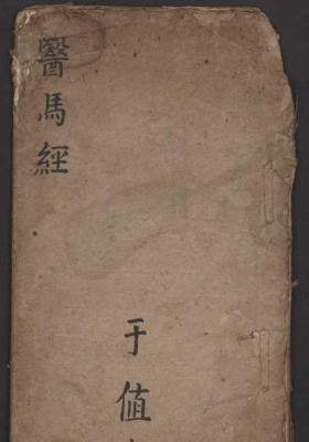 《医马经》💰5