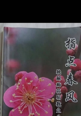 栾海涛《指点春风》独解梅花八法💰5