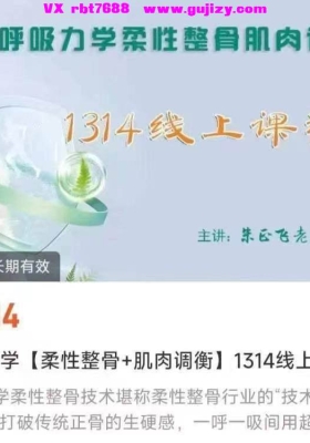 朱正飞呼吸力学【柔性整骨+肌肉调衡】1314线上课程💰5