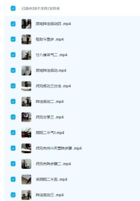 金斗门阴阳风水阵法视频课＋配套教材 💰5