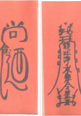 《道医治病符法》💰5