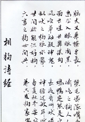 《相犬大全》💰5