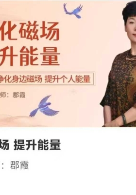 【如是禅说讲堂】净化磁场 提升能量 14集视频💰5