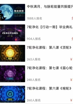 】马丁纳(生命管理)学院 七脉轮净化课程 10集视频💰5