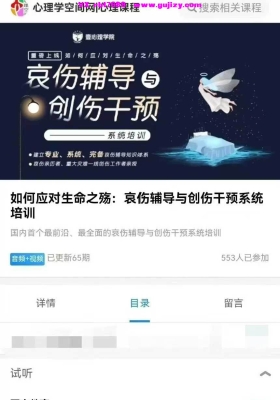 【生死】如何应对生命之殇！国内首个最前沿，最全面的哀伤辅导与创伤干预视频合集💰5